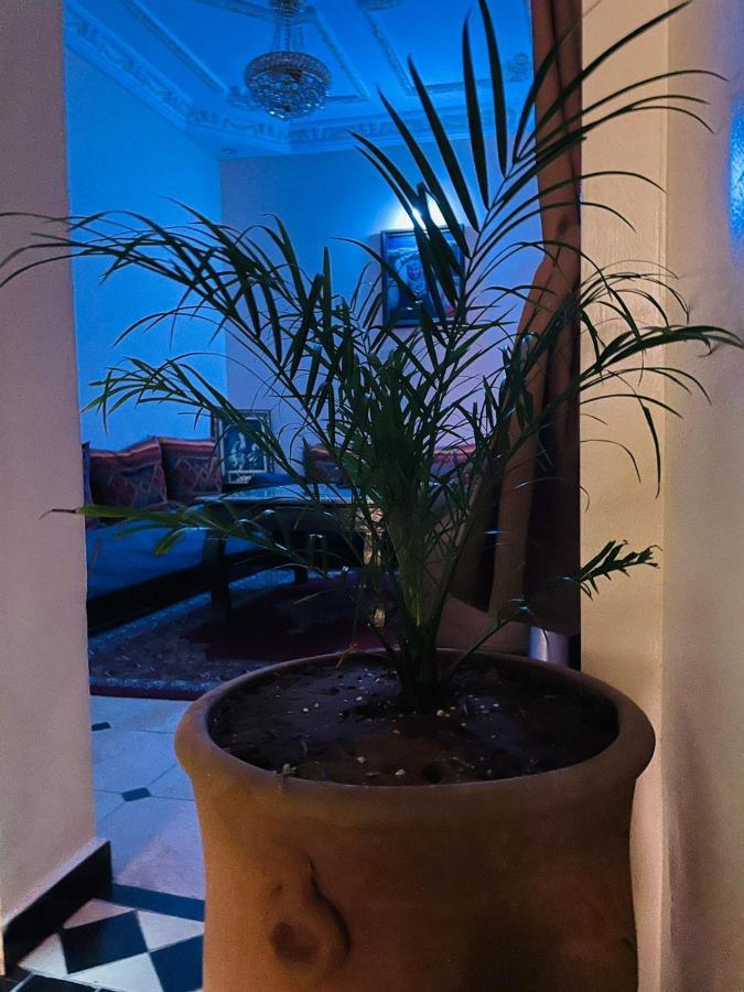 Ms Holidays Terrasse Privatise Marrakech Apartment Marrakesh