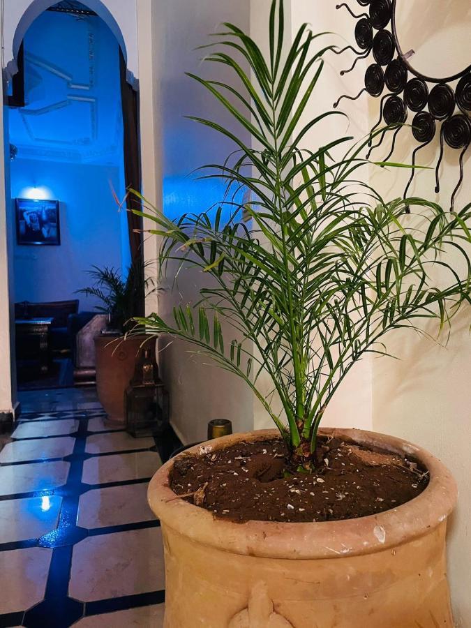 Apartment Ms Holidays Terrasse Privatise Marrakech Marrakesch